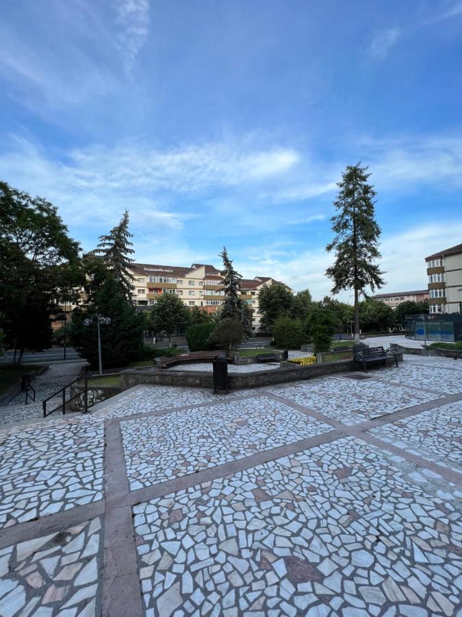 Apartament Centru Râmnicu Vâlcea 外观 照片